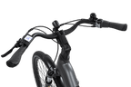 REX E-Bike Commuter+
