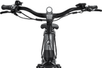 REX E-Bike Commuter+